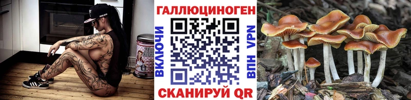 Галлюциногенные грибы Magic Shrooms  как найти   Пойковский 